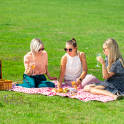 Picknick in het stadspark